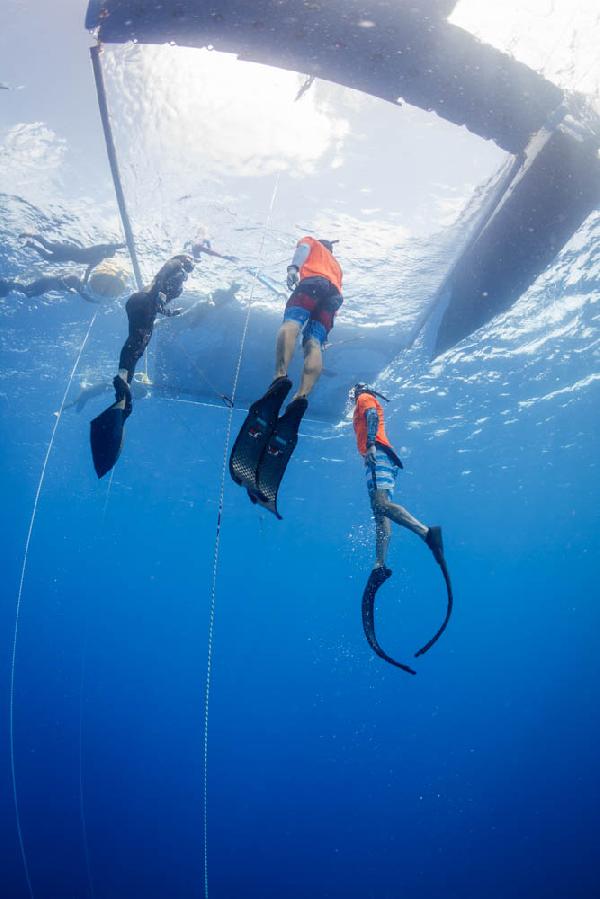 Bonaire. DeepSea Challenge 2016. Platform bottom view.